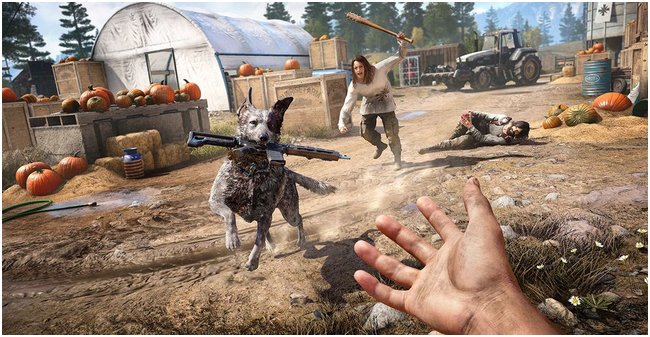 Far Cry 5