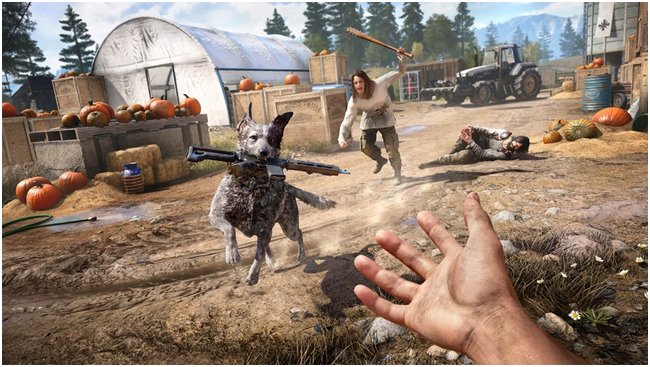 Far Cry 5