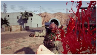 Шутер Ghost Platoon / Toplitz Productions