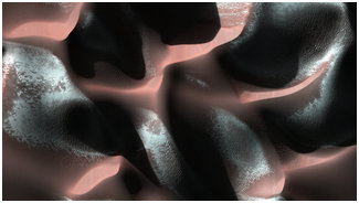 Слова главы SpaceX Илона Маска | Глава SpaceX