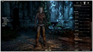 Дополнения The Elder Scrolls Online Summerset