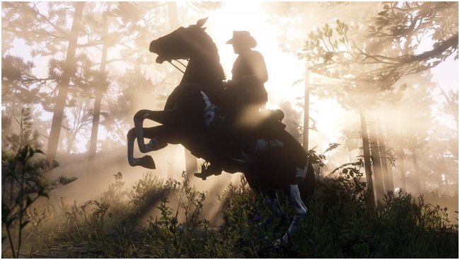 Red Dead Redemption 2 | PC