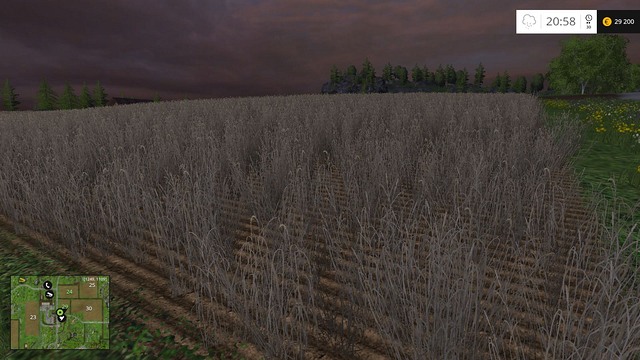 Гайд по farming simulator 22. Grain Farm.