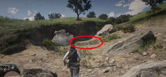 Где найти все кости динозавров в Red Dead Redemption 2