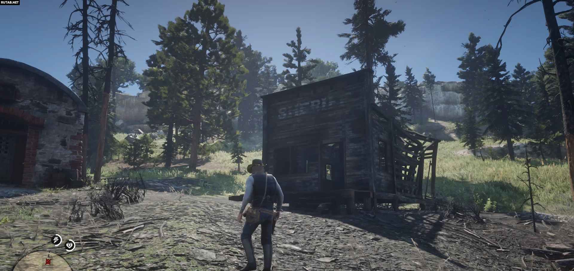      Red Dead Redemption 2