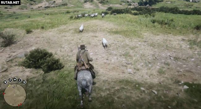 Овцы и козлища | Прохождение Red Dead Redemption 2