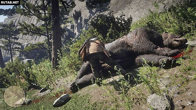 Как убить легендарного медведя?
