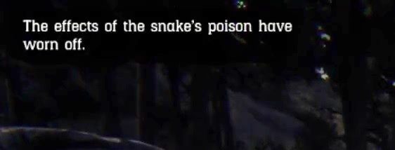 Что делать, если укусила змея?