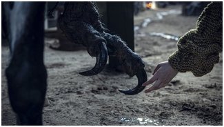 Сериал Ведьмак от Netflix | Конец 2020