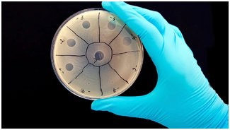 Бактериальных инфекций / Бактерии