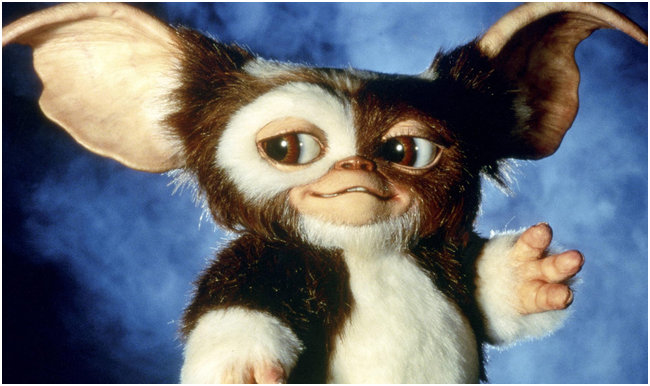 Увидеть свет