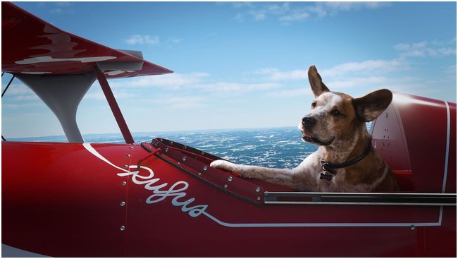 Microsoft Flight Simulator / Xbox