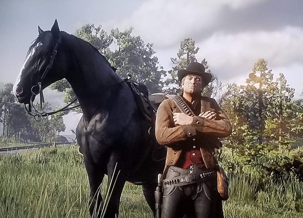 Быстрая лошадь в рдр. Red Dead Redemption 2 лошади. Rdr Arthur Morgan. Red Dead Redemption 2 черный конь.