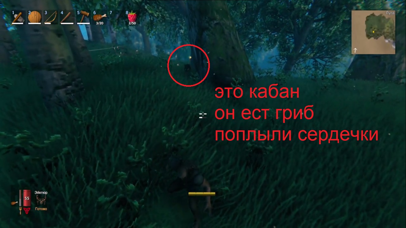 Valheim туша где найти