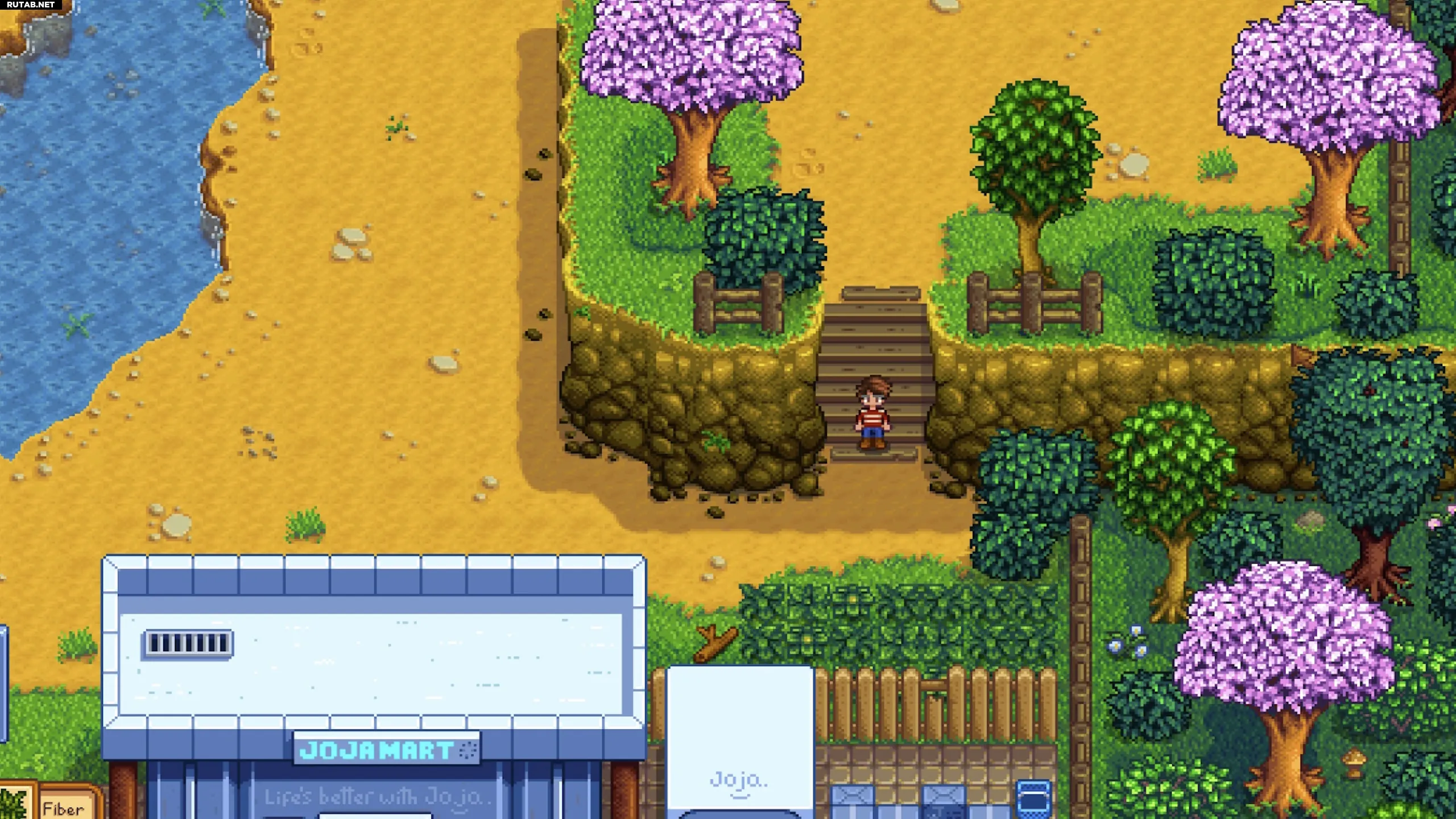 Местоположение книжного магазина Stardew Valley и все предметы / Гайды