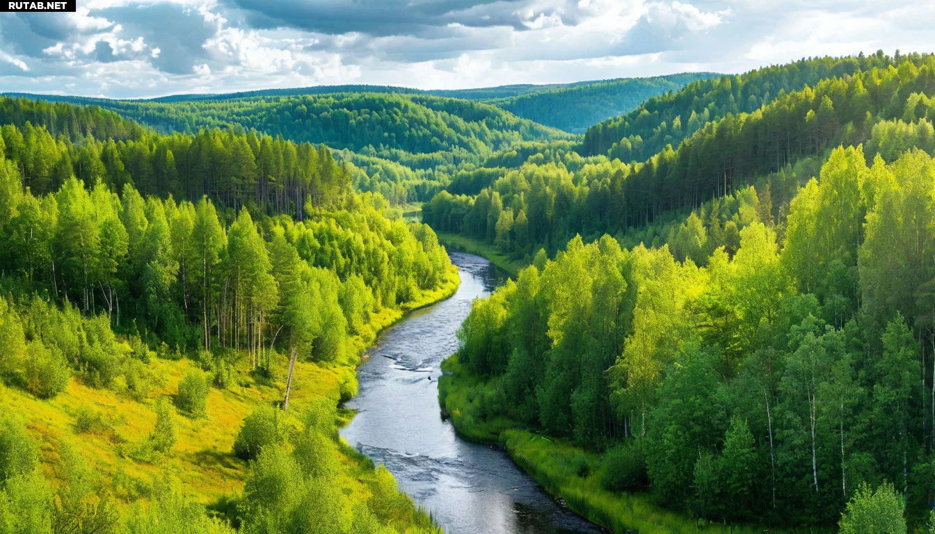 Живописный природный ландшафт с холмами, лесами и рекой, освещённый мягким солнечным светом. Спокойная атмосфера, зелёные оттенки, просторы России.
