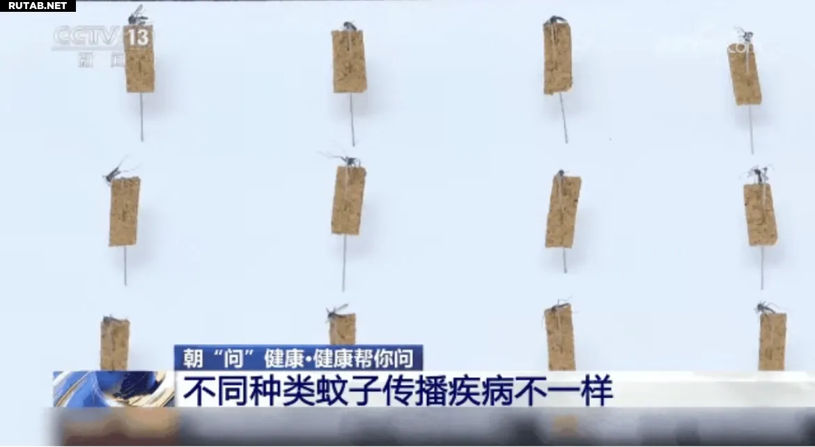 Виды комаров