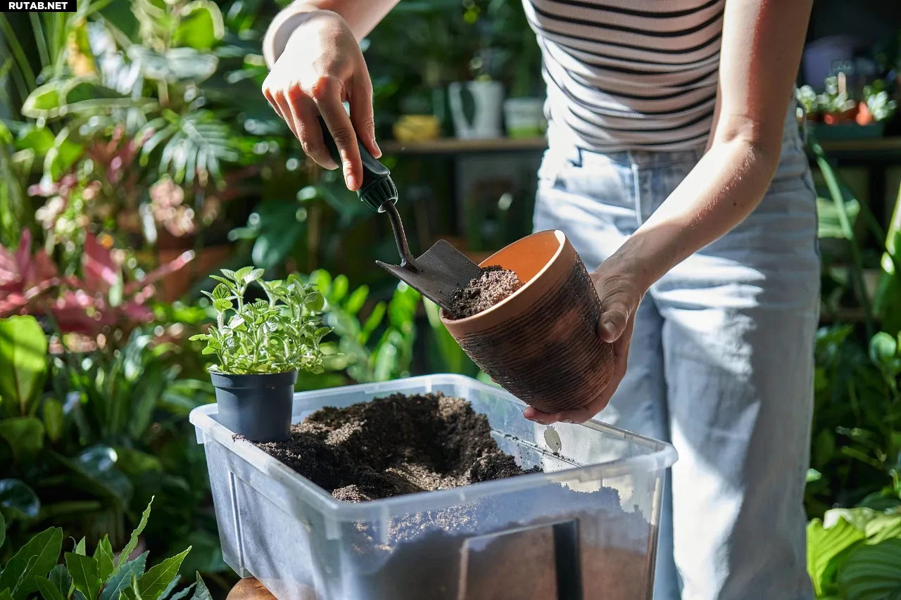 Защита от комаров