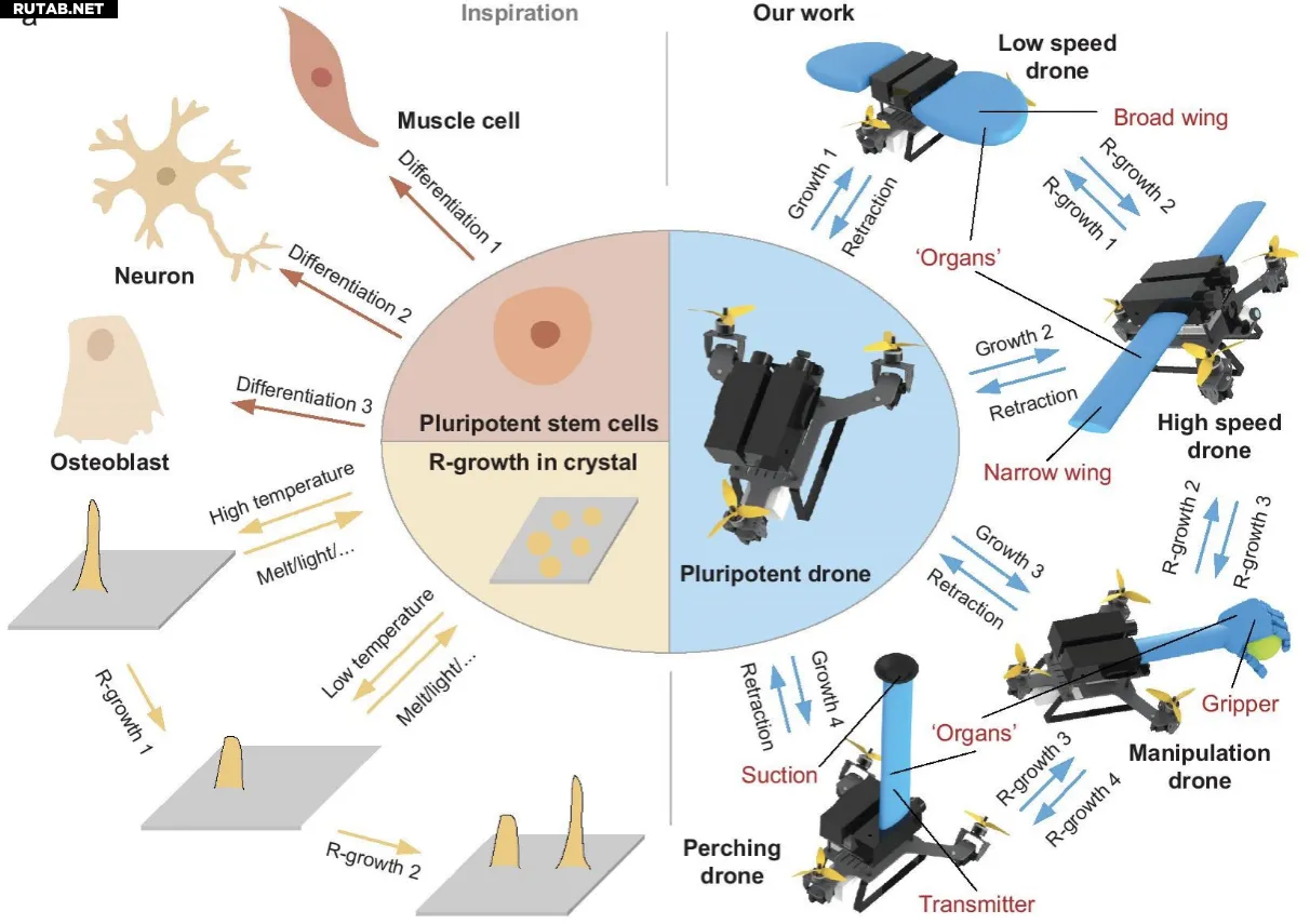 Концепт дрона с изменяемой структурой