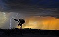 Thumbnail: Природа