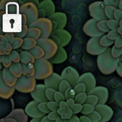 Succulent