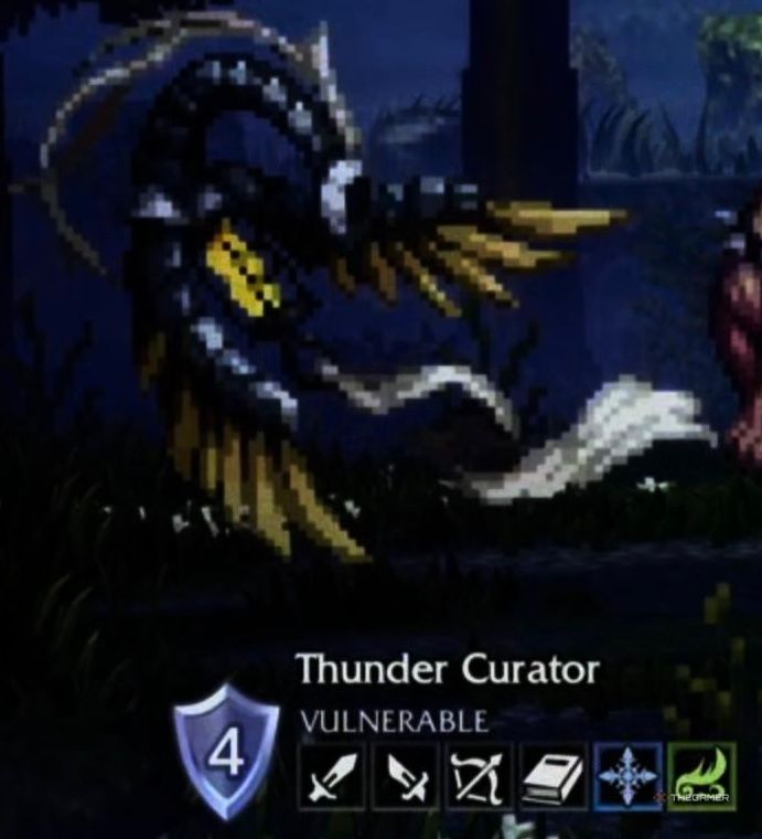 Thunder Curator