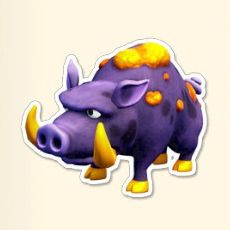 Golden Truffle Pig