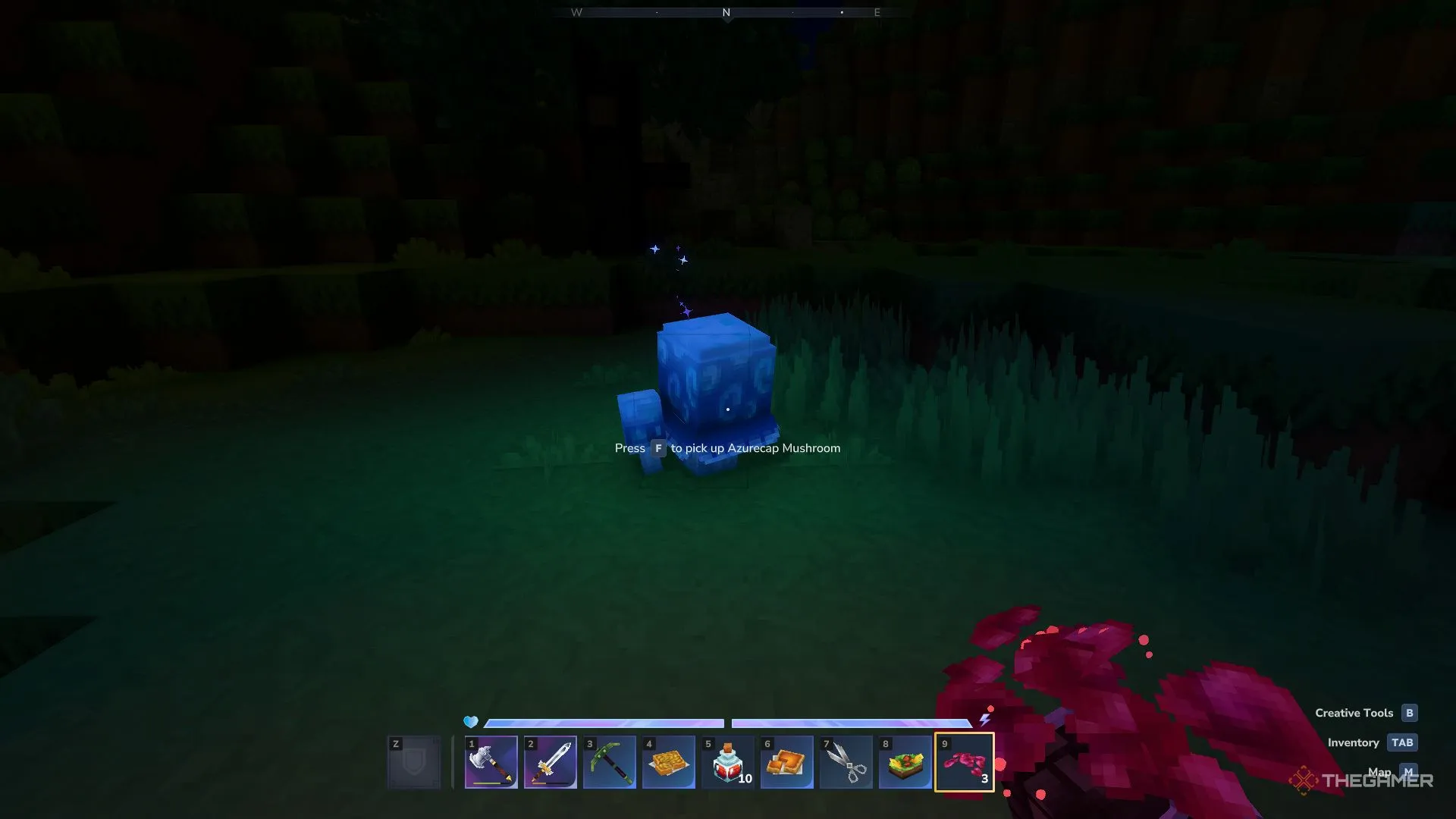 Лазурный гриб