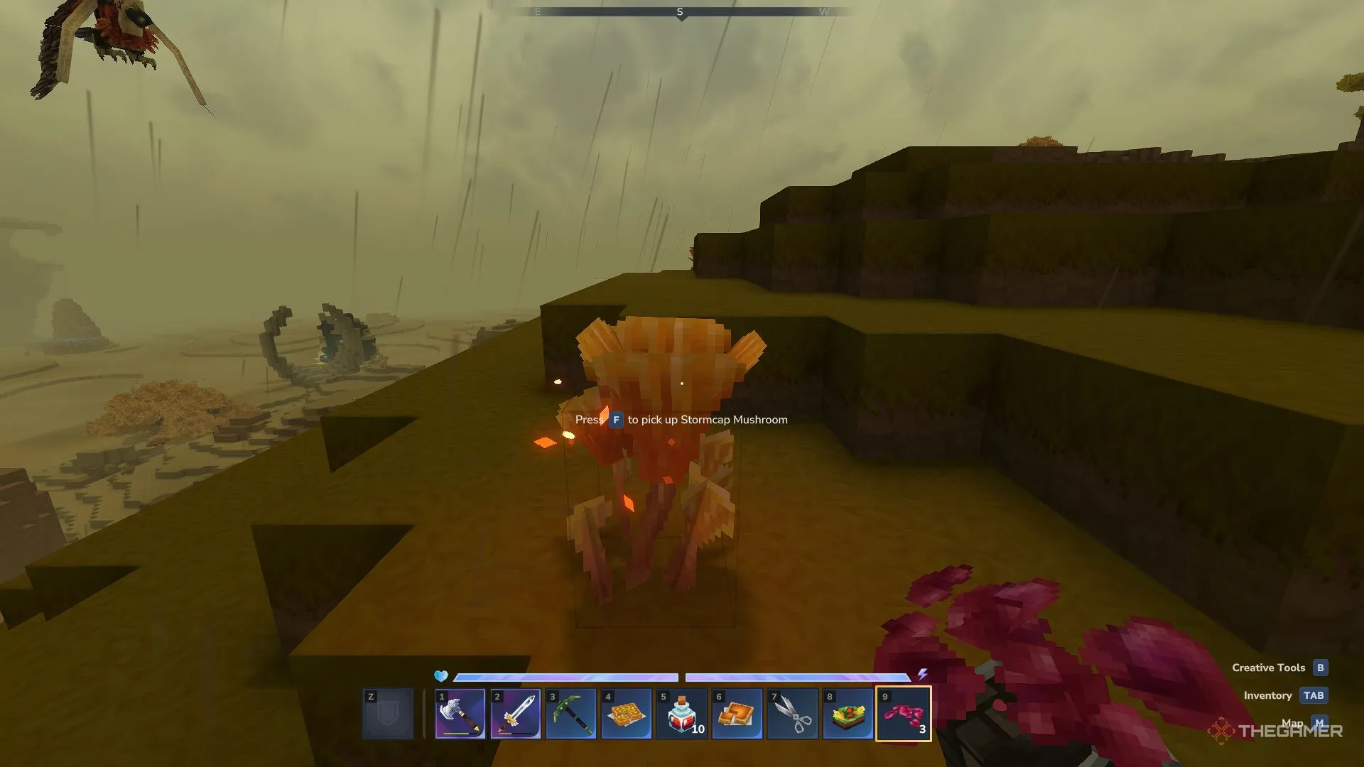 Грозовой гриб