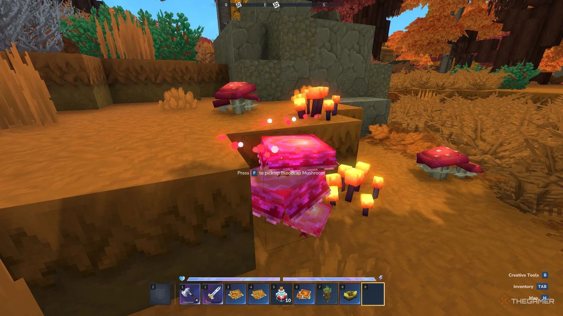 Кровавый гриб