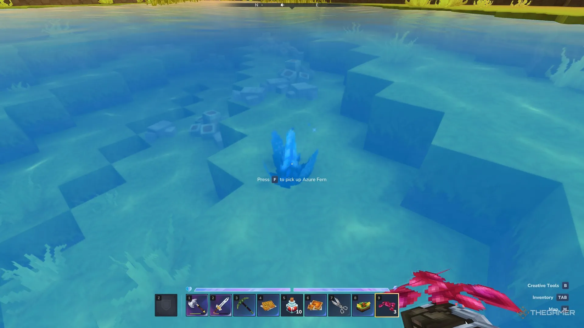 Лазурный папоротник