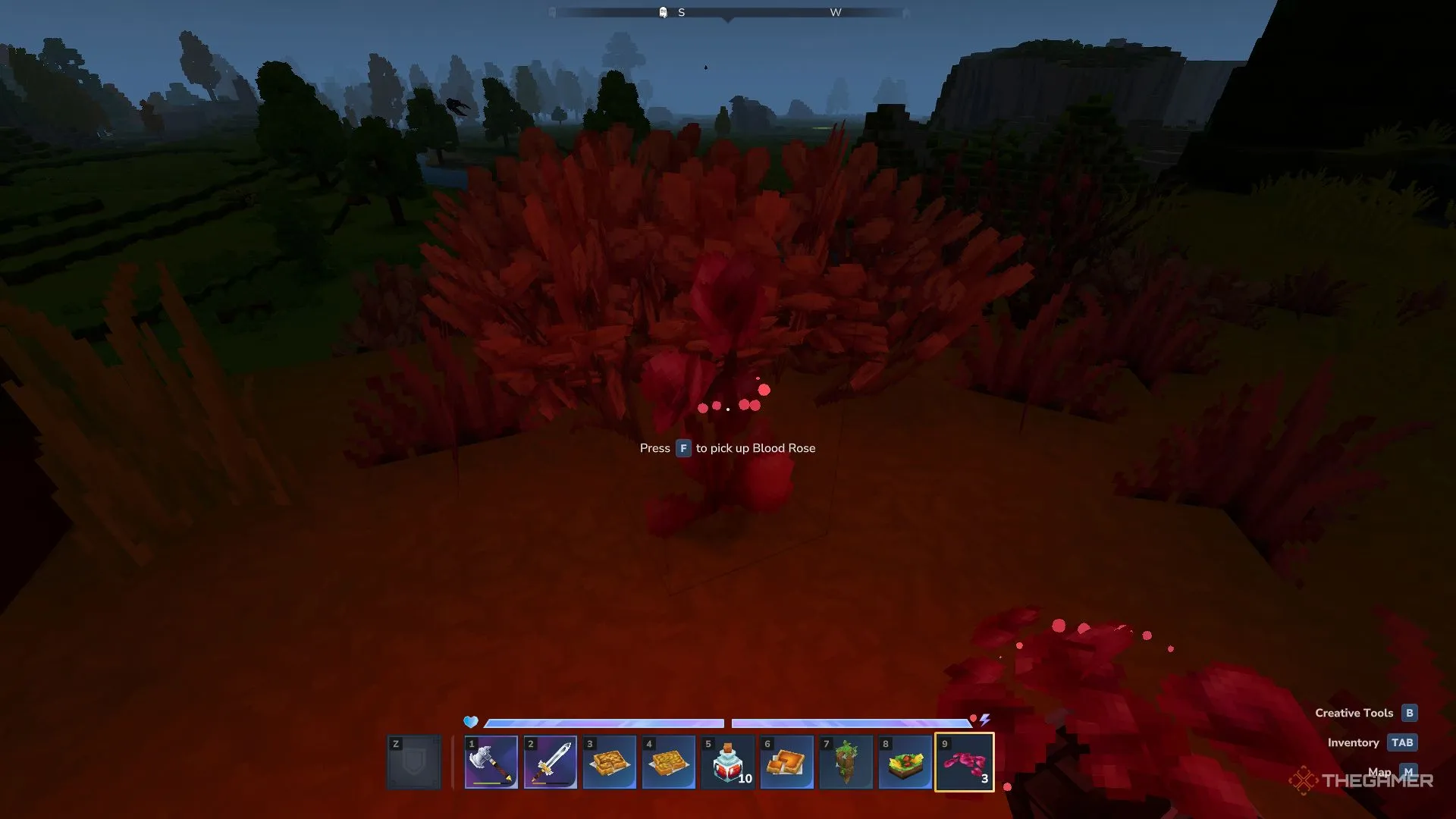 Кровавая роза