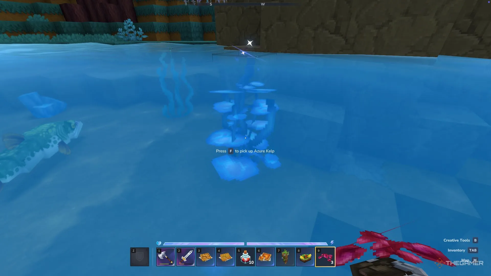 Лазурные водоросли