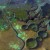 Civilization: Beyond Earth скриншот #4
