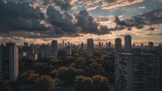 Жаркий четверг в Ленинградской области: до +29 градусов