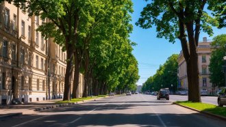 Воронежскую область накроет жара: синоптики прогнозируют солнечную погоду без осадков