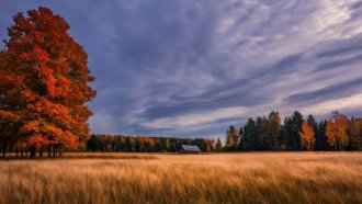 Метеорологи дали первые прогнозы на зиму 2025 в Москве