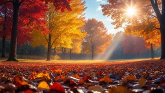 Туман в Самарской области: видимость упала до 500 метров