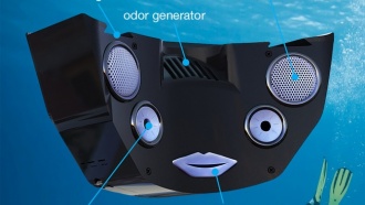 Виртуальная реальность с запахами