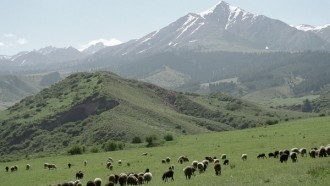 В горах Тянь-Шаня ученые обнаружили древние острова давно исчезнувшего океана