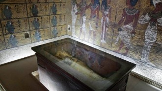 Археологи не теряют надежд отыскать секретную гробницу Нефертити