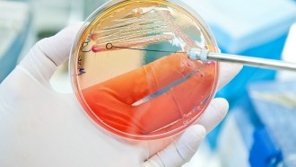 Ученые нашли клетку-уникум