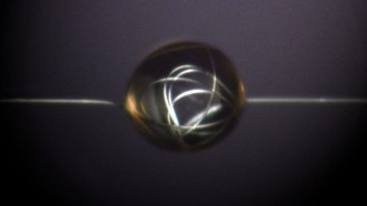 Ученые создали нить на основе паутины