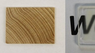 Химики создали «древостекло»