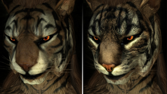 Nexus Mods планирует ввести систему денежных поощрений для разработчиков модов