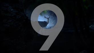 В новых видео о Samsung Galaxy S9 девушки ночью встретились с оленем