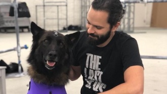 Разработчик The Last of Us Part II показал собаку в костюме для захвата движений