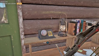 Гранд-слэм (Бейсбольные карточки)