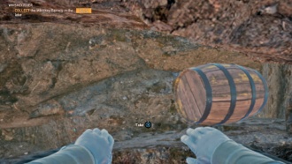 Река виски (Бочонки виски)