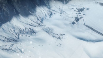 Какую технологию изучать первой?